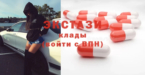 индика Козловка