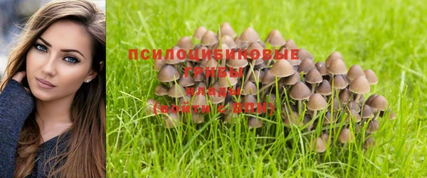 PSILOCYBIN Киренск