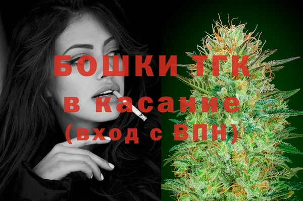 PSILOCYBIN Киренск