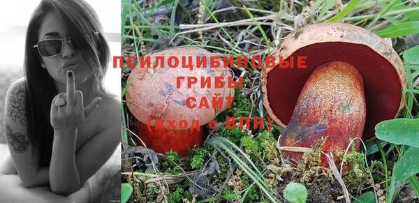 PSILOCYBIN Киренск