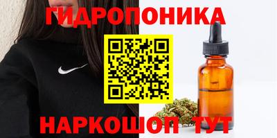 a pvp Гусев