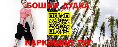 индика Будённовск