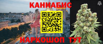 индика Будённовск