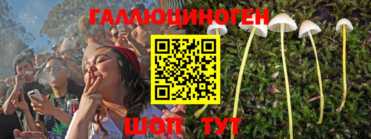 Галлюциногенные грибы прущие грибы Каменск-Уральский