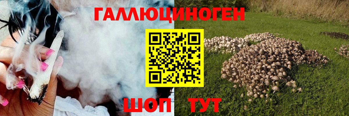 Каменск-Уральский  Псилоцибиновые грибы MAGIC MUSHROOMS  Вход с VPN 